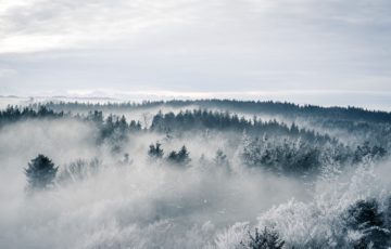 信者になりやすい日本人